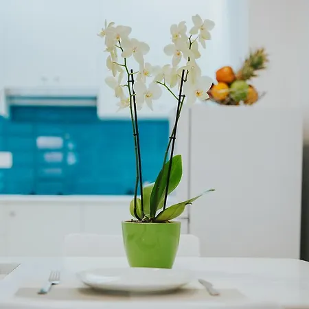 Stephanie 아파트 *