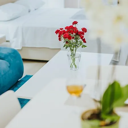 استوديوهات ستيفاني *