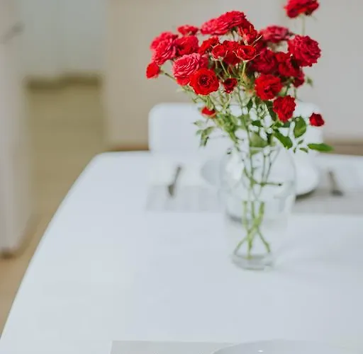 Daire Stephanie Larnaca