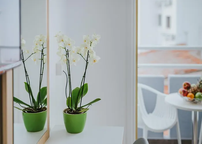 شقة استوديوهات ستيفاني *