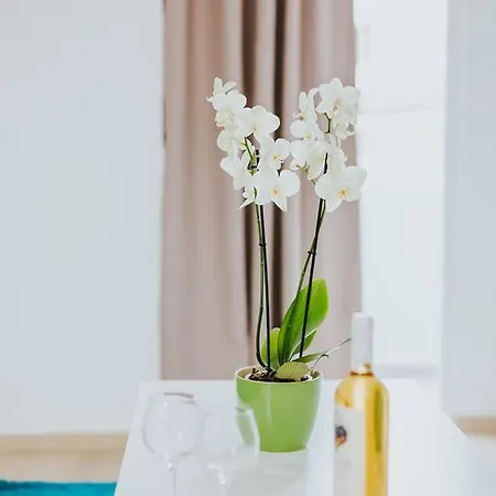 Apartmán Stephanie Larnaca