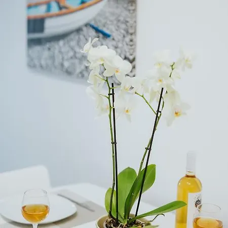 Stephanie Apartamento *