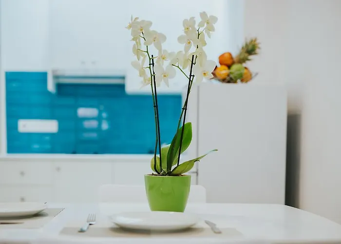 Stephanie Apartmán *