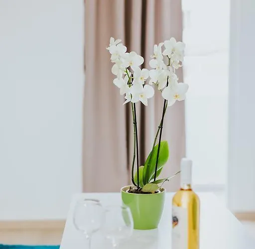 Apartamento Stephanie Larnaca